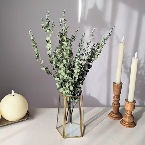 ユーカリ》ピッコロ ドライフラワー ドライフラワー mamemona 通販