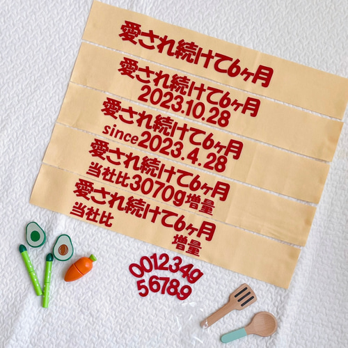 人気No.3｜愛され続けて6ヶ月 マヨ文字 飛び出すマヨネーズ