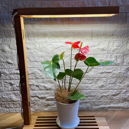 植物育成LEDライトスタンド2灯［オーク］ 一輪挿し・花瓶・花器 8929