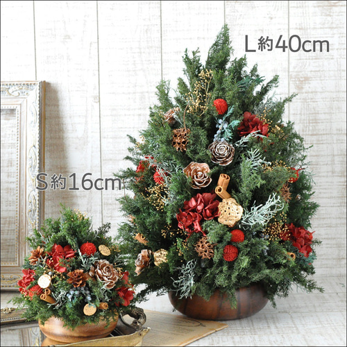 完売　　縁起木＊希少＊高級花材【棕櫚の実＊シュロの実】クリスマス花材/クリスマス 完売 希少＊高級花材【棕櫚の実＊シュロの実】花材/スワッグやリース