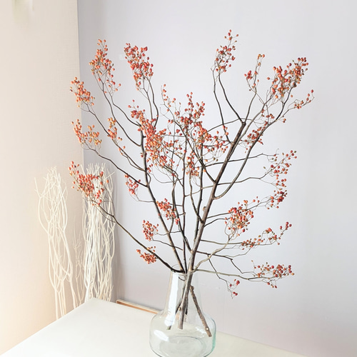 野ばらの実 ドライフラワー ドライフラワー mamemona 通販 12722648