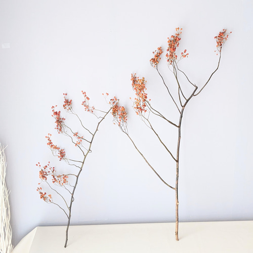 野ばらの実 ドライフラワー ドライフラワー mamemona 通販 12722648