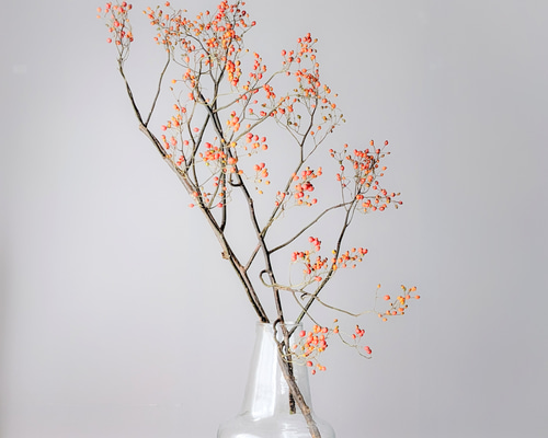 83f214ecc4885189ea5c13153bdec0