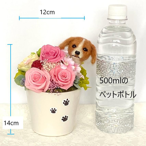ちょこんと顔出すビーグル犬＆　プリザーブドフラワー（ピンク系）　/　フラワーギフト　花　犬　プレゼント 8枚目の画像