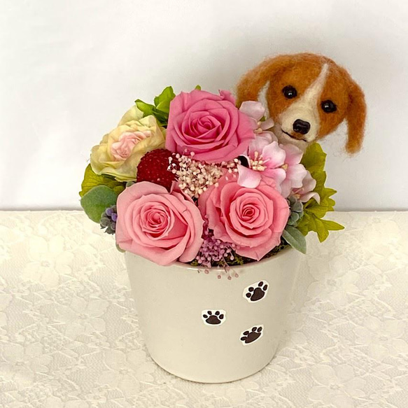 ちょこんと顔出すビーグル犬＆　プリザーブドフラワー（ピンク系）　/　フラワーギフト　花　犬　プレゼント 4枚目の画像