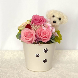 ちょこんと顔出すトイプードル＆　プリザーブドフラワー　（ピンク系）/　フラワーギフト　犬　プレゼント　羊毛フェルト 3枚目の画像