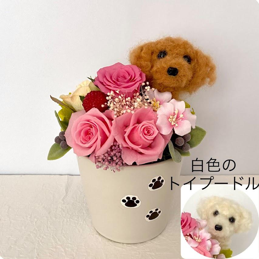ちょこんと顔出すトイプードル＆ プリザーブドフラワー （ピンク系