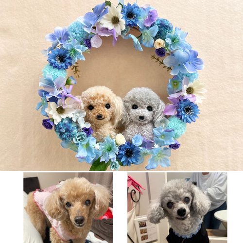 ぽん「3ポメ~お花リース」「ポメと柴犬~インコS字飾り」 c07ce0a963ce5f1710d73fe9aba7f1