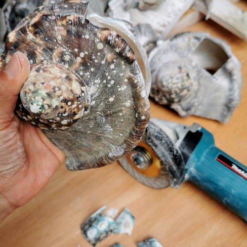 夜光貝磨きアクセサリー作りキット ✳【 小さいパーツ 】 キット 夜光