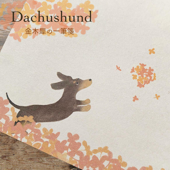 ダックスフンドと金木犀の一筆箋 メッセージカード la sogno 通販