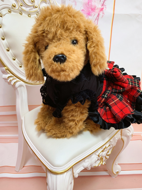 犬猫うさちゃん服　BLACK×赤チェックのワンピース 5枚目の画像