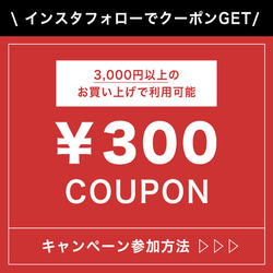 ★専用★フォロー割引 89a27db26c9e5cecf24f36acbf885a