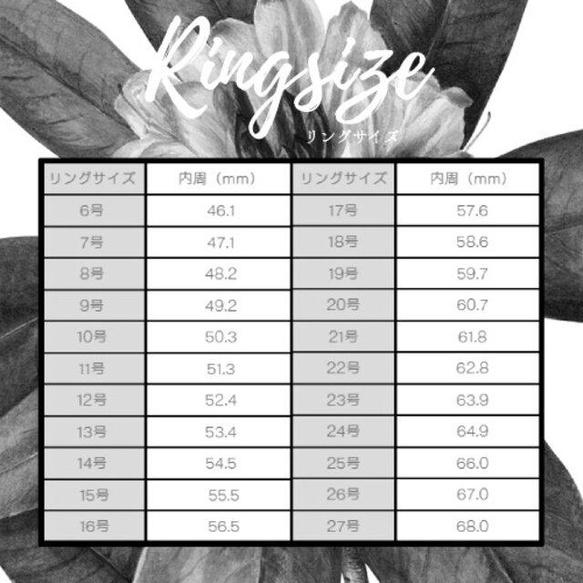 リングキット[リング追加購入] 4枚目の画像