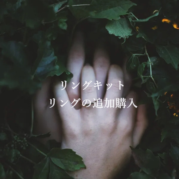 リングキット[リング追加購入] 1枚目の画像