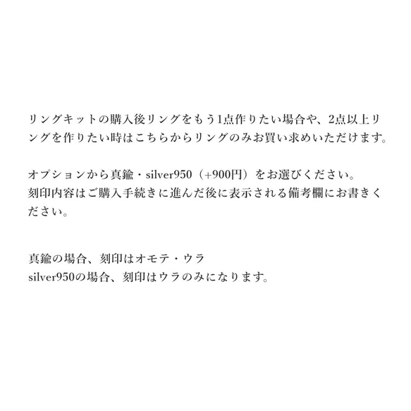 リングキット[リング追加購入] 2枚目の画像