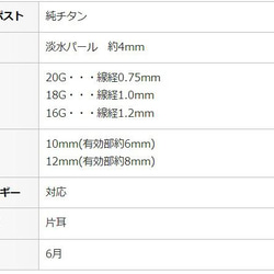  第4張的照片