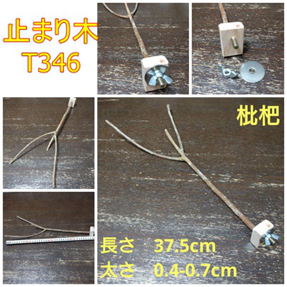 止まり木（枇杷：TOY-08-015）T346 1枚目の画像