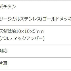 バルティックアンバー フック ピアス 【■20-1】 アンバー フック 天然石 揺れる 琥珀 BlueHill 6枚目の画像