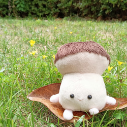 受注制作 ぽっちゃりきのこのちゃびー ぬいぐるみ fuwamofu 受注制作 ぽっちゃりきのこのちゃびー ぬいぐるみ fuwamofu