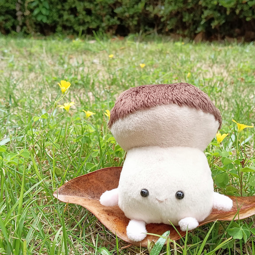 受注制作 ぽっちゃりきのこのちゃびー ぬいぐるみ fuwamofu