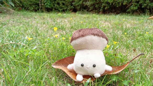 受注制作 ぽっちゃりきのこのちゃびー ぬいぐるみ fuwamofu