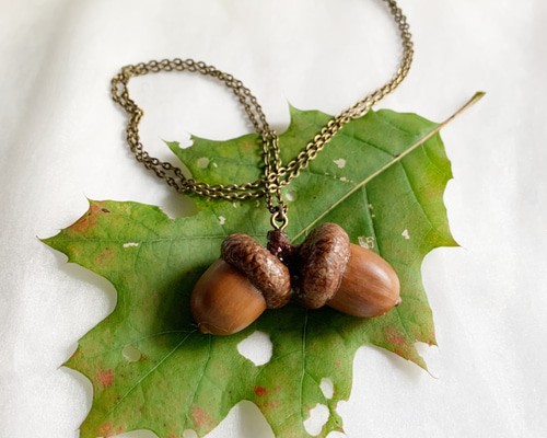 どんぐり子 WIC T Kid's どんぐり 130-160｜モンベル