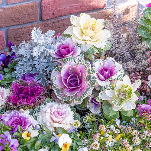 2026年 花とガーデンのカレンダー GardeningFlowers ガーデニング