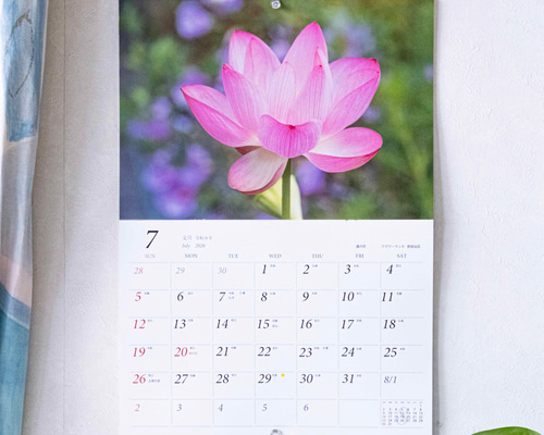 蘭花ページ ebd97ec245608ec6bd464f1c260efc