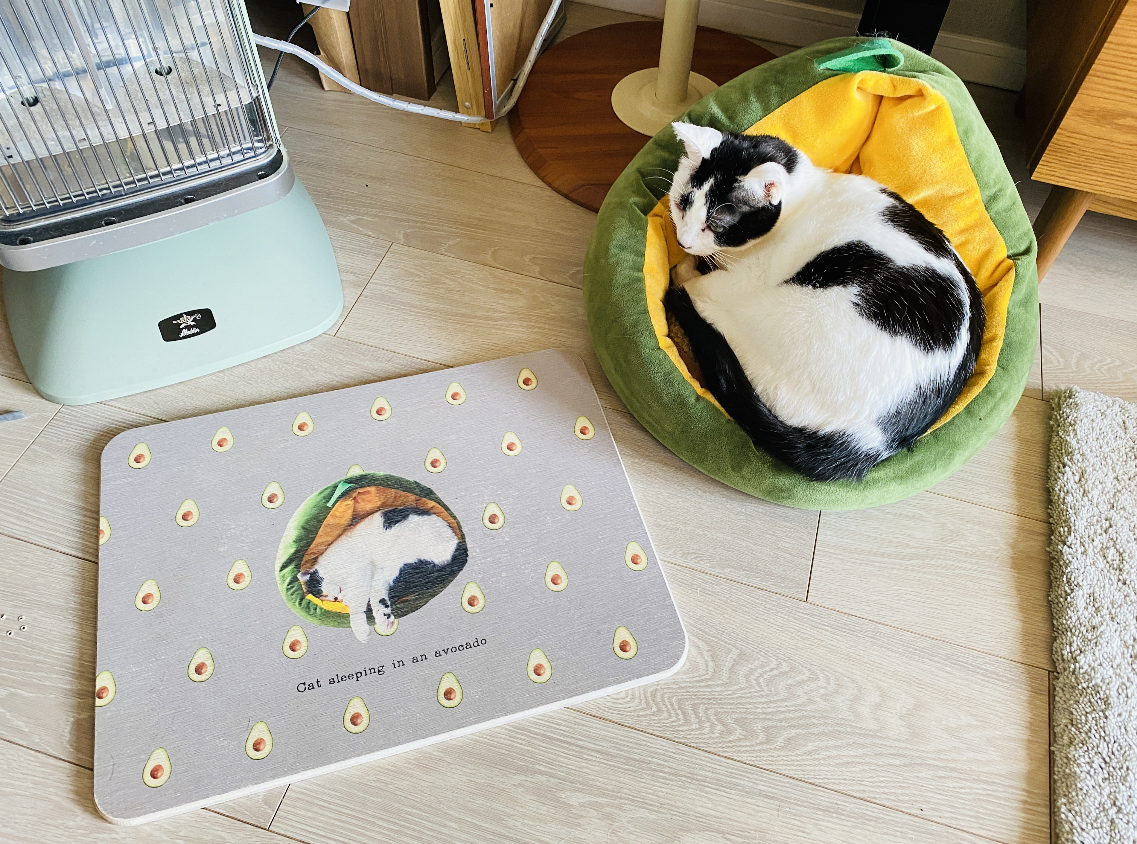 世界にひとつ　うちの子　オーダーメイド  珪藻土マット　バスマット　ペットフードマット 食事マット　写真　犬　猫　消臭 6,586円