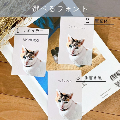A3 ポスターフレーム/イラスト】uchinococo(うちのこ ペット