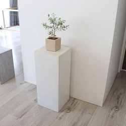 新品未使用モールテックス ディスプレイテーブル さくらカラー