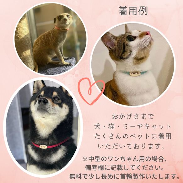 ストレス最小限　2g　どこよりも軽い着け心地　揺れない迷子札　超軽量　猫　犬　やわらか紐　猫の首輪　迷子札　チョーカー　 8枚目の画像