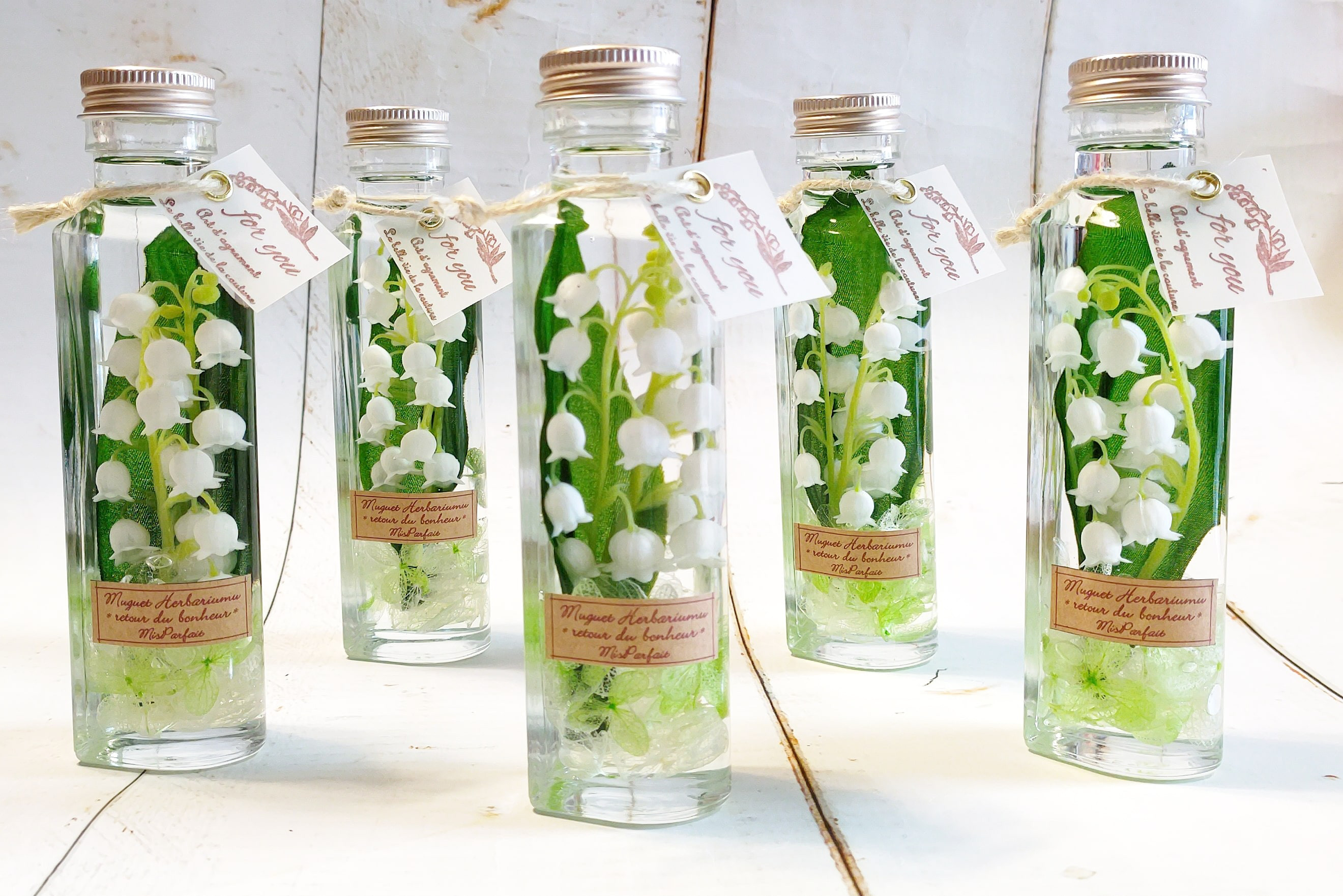 琉球*海のたねゴアナクローハーバリウム