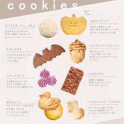  第3張的照片