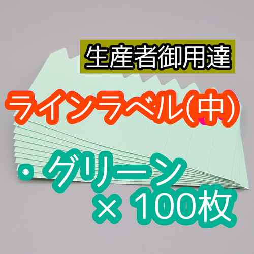 ラインラベル (中) 緑 園芸ラベル ネームタグ ネームラベル 多肉植物 