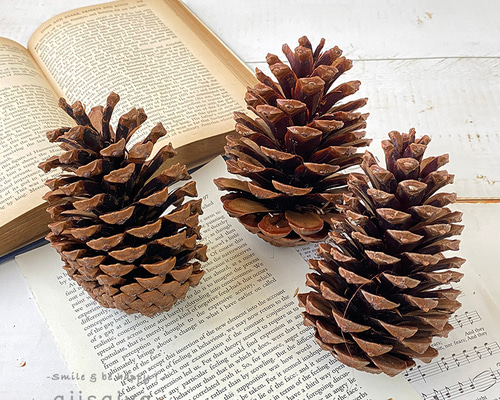 40cfdb3467a60028abcd92bb1675d3