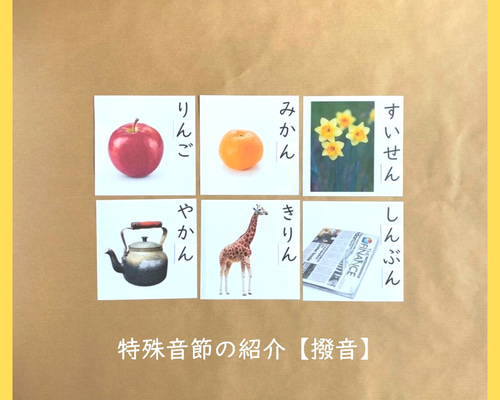 楽天ブックス: モンテッソーリ教育用語事典 - クラウス