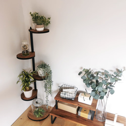 角にも置けるしずくのスタンドシェルフ  4段タイプ 【 ブラウン】 / 360度回転  / 植物 / 完成品 4枚目の画像
