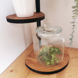 角にも置けるしずくのスタンドシェルフ  4段タイプ 【 ブラウン】 / 360度回転  / 植物 / 完成品 7枚目の画像