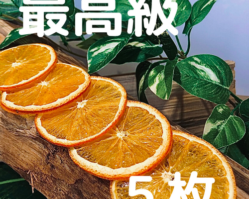 最高級】ドライオレンジ 5枚 ドライフルーツ 花材 素材 その他素材 