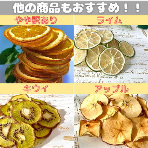最高級】ドライオレンジ 5枚 ドライフルーツ 花材 素材 その他