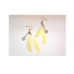 ♪セキセイインコの羽☆鳥の羽ピアス☆羽根フェザーピアス ルチノー