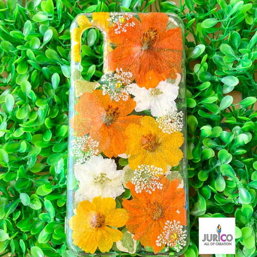 ハンドメイド押し花スマホケース 黄花コスモス オレンジとイエローの黄花コスモスの押し花スマホケースiphone