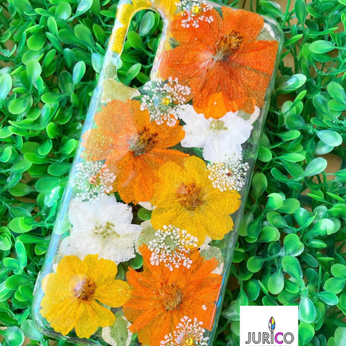 ハンドメイド押し花スマホケース　黄花コスモス オレンジとイエローの黄花コスモスの押し花スマホケースiphone
