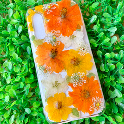 オレンジとイエローの黄花コスモスの押し花スマホケースiphone/GALAXY/AQUOS/xperia/pixel 7枚目の画像