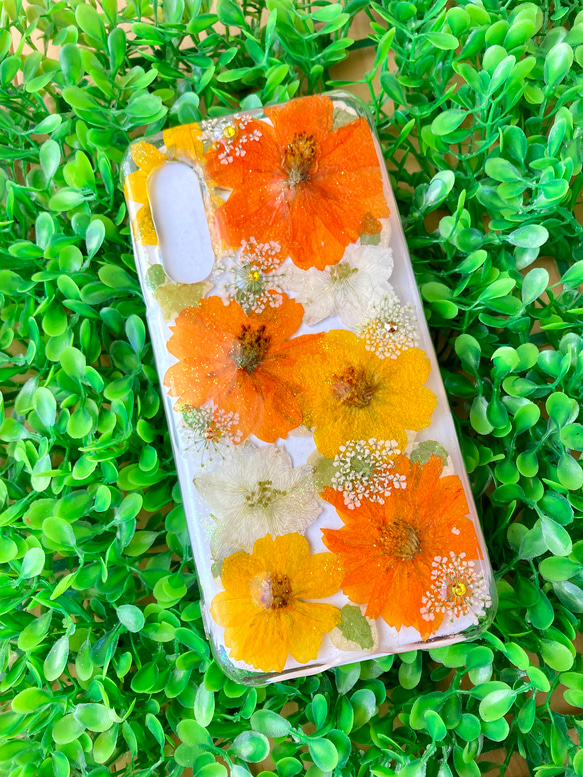 オレンジとイエローの黄花コスモスの押し花スマホケースiphone/GALAXY/AQUOS/xperia/pixel 7枚目の画像