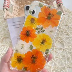 オレンジとイエローの黄花コスモスの押し花スマホケースiphone/GALAXY/AQUOS/xperia/pixel 3枚目の画像