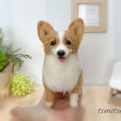 姉御　羊毛フェルトコーギー　壁掛 羊毛フェルト コーギー 犬 壁掛インテリア - メルカリ