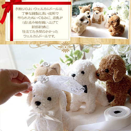 作家様作　トイプードル、ゴールデンぬいぐるみ2体セット welcomebear0149-1.jpg