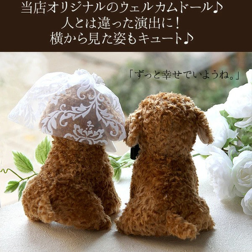 リニューアル】ウェルカムドール 日本製 手作り トイプードル ブラウン